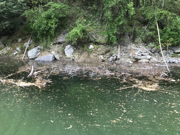 hideup 松本泰明 ブログ写真 2017/05/02