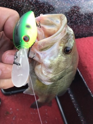 hideup 松本泰明 ブログ写真 2017/02/21