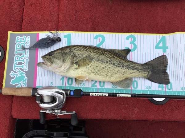 hideup 松本泰明 ブログ写真 2017/04/05