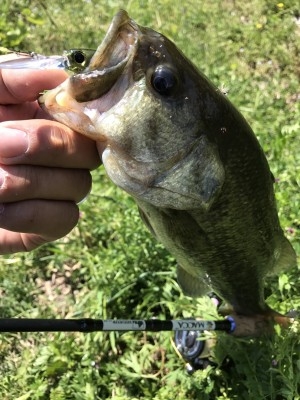 hideup 松本泰明 ブログ写真 2017/04/28