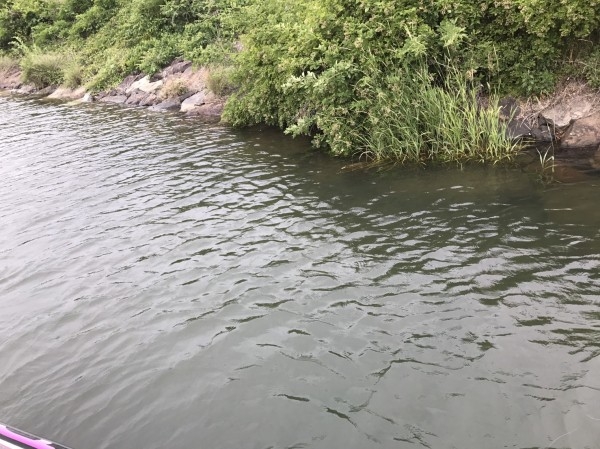 hideup 松本泰明 ブログ写真 2017/06/06