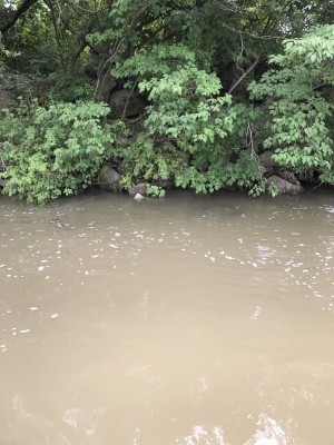 hideup 松本泰明 ブログ写真 2017/07/09