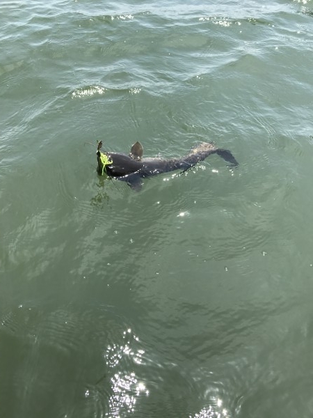 hideup 松本泰明 ブログ写真 2017/06/04