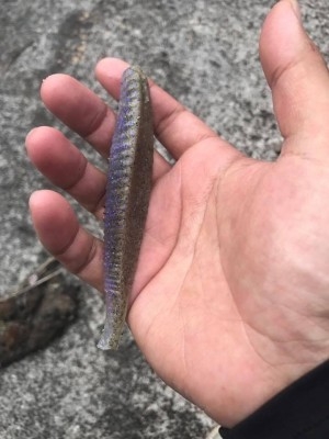 hideup 松本泰明 ブログ写真 2017/05/17