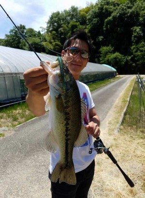 hideup 松本泰明 ブログ写真 2017/06/19