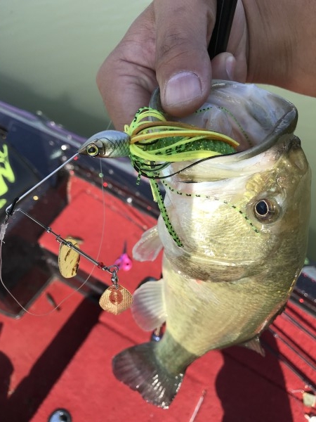 hideup 松本泰明 ブログ写真 2017/11/01