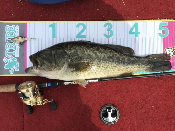 hideup 松本泰明 ブログ写真 2017/04/09