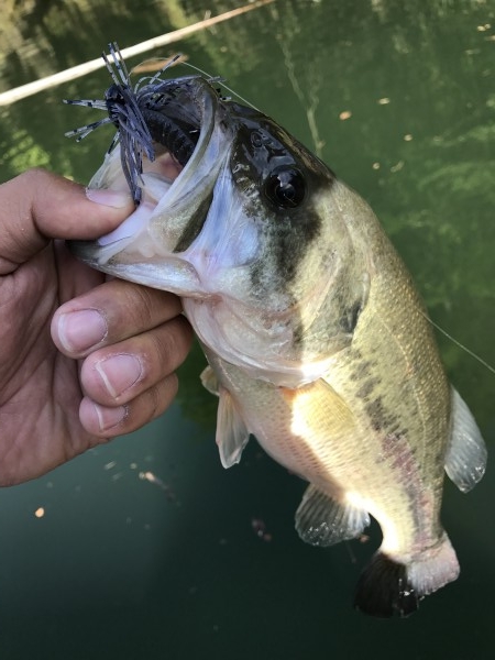 hideup 松本泰明 ブログ写真 2017/05/02