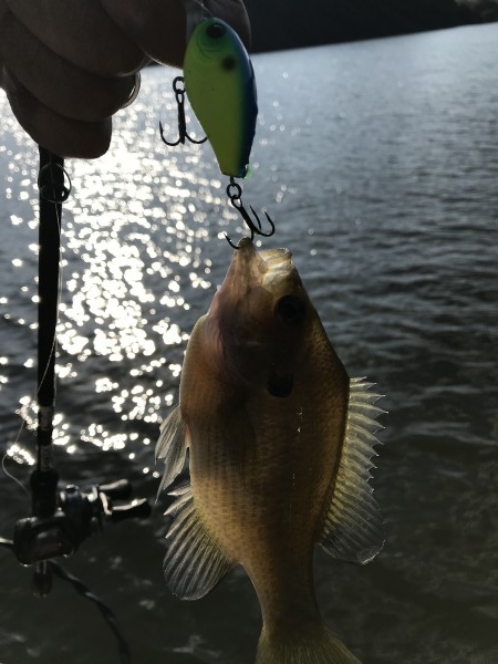 hideup 松本泰明 ブログ写真 2017/10/25