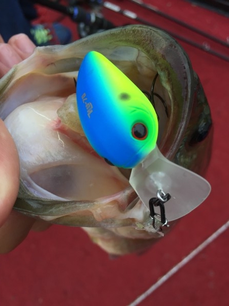 hideup 松本泰明 ブログ写真 2017/10/05