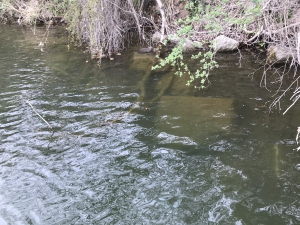 hideup 松本泰明 ブログ写真 2017/04/05