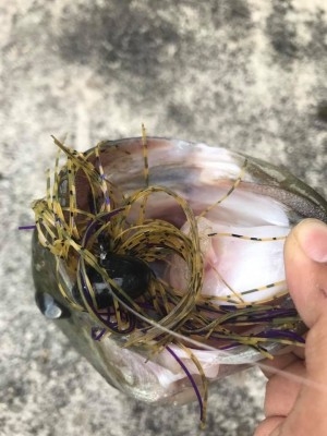 hideup 松本泰明 ブログ写真 2017/05/17