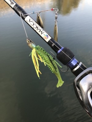 hideup 松本泰明 ブログ写真 2017/11/16