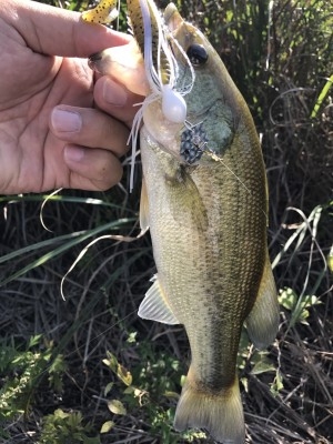 hideup 松本泰明 ブログ写真 2017/09/29