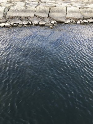 hideup 松本泰明 ブログ写真 2017/03/07