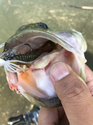 hideup 松本泰明 ブログ写真 2017/09/29