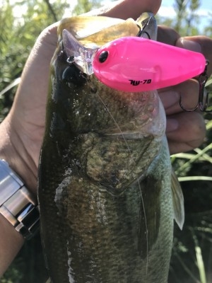 hideup 松本泰明 ブログ写真 2017/10/04