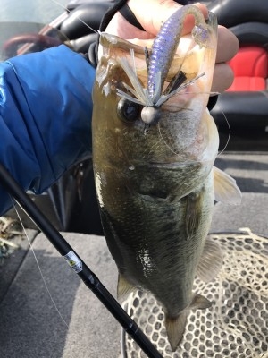 hideup 松本泰明 ブログ写真 2017/03/10