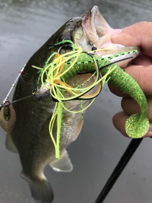 hideup 松本泰明 ブログ写真 2017/10/06