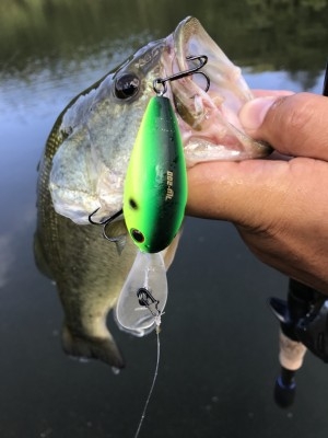 hideup 松本泰明 ブログ写真 2017/10/03