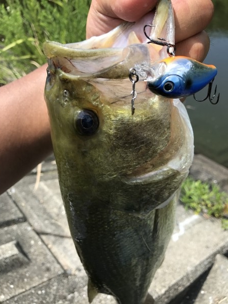 hideup 松本泰明 ブログ写真 2017/08/22