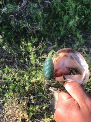 hideup 松本泰明 ブログ写真 2017/04/15