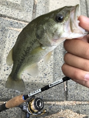 hideup 松本泰明 ブログ写真 2017/08/29