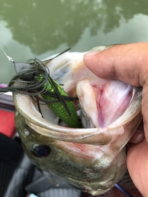 hideup 松本泰明 ブログ写真 2017/07/11