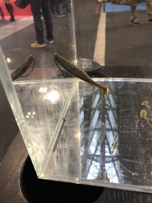 hideup 松本泰明 ブログ写真 2017/02/19