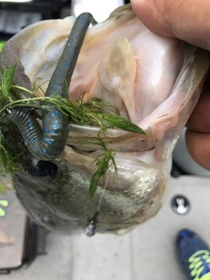 hideup 松本泰明 ブログ写真 2017/07/27