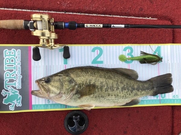 hideup 松本泰明 ブログ写真 2017/03/09