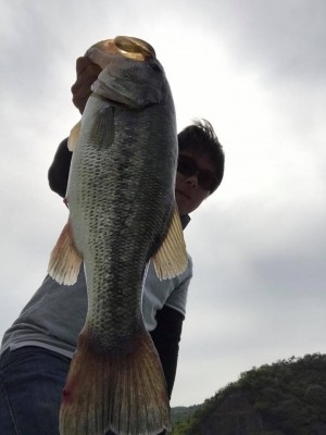 hideup 松本泰明 ブログ写真 2017/05/17