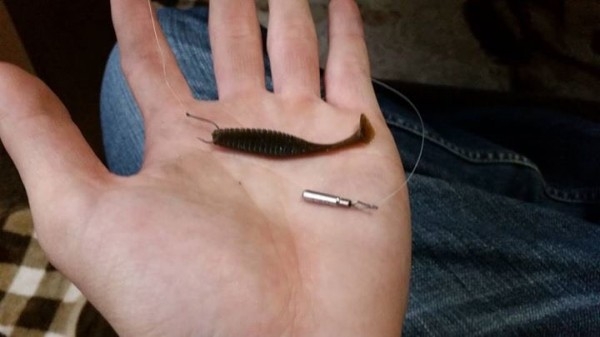 hideup 松本泰明 ブログ写真 2017/05/03