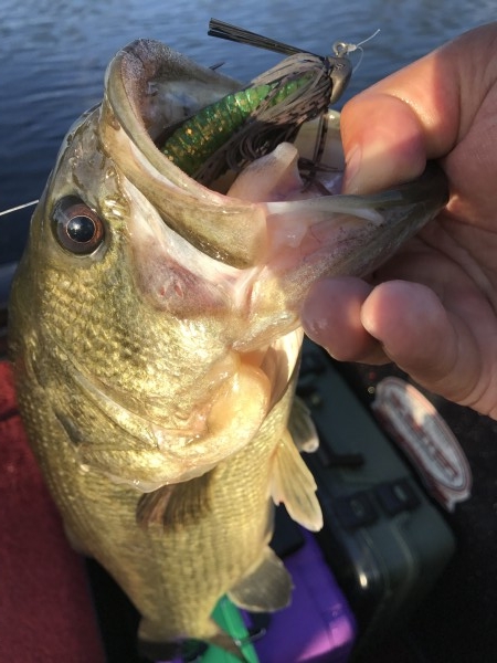 hideup 松本泰明 ブログ写真 2017/09/28