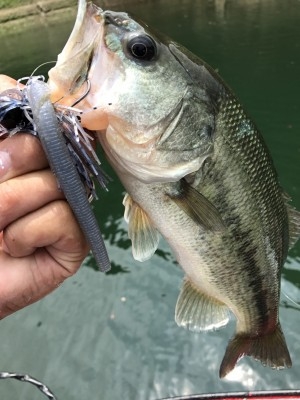 hideup 松本泰明 ブログ写真 2017/08/10