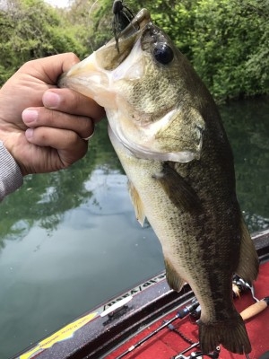 hideup 松本泰明 ブログ写真 2017/04/27