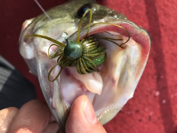 hideup 松本泰明 ブログ写真 2017/04/01