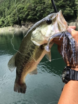 hideup 松本泰明 ブログ写真 2017/08/16