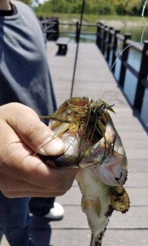 hideup 松本泰明 ブログ写真 2017/05/07