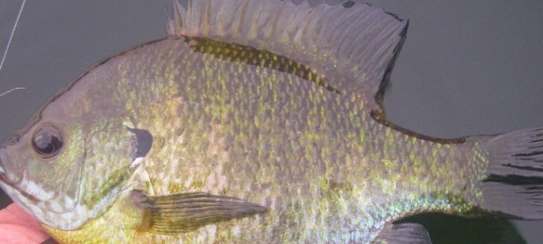 hideup 松本泰明 ブログ写真 2017/03/11