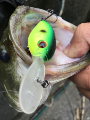 hideup 松本泰明 ブログ写真 2017/10/06