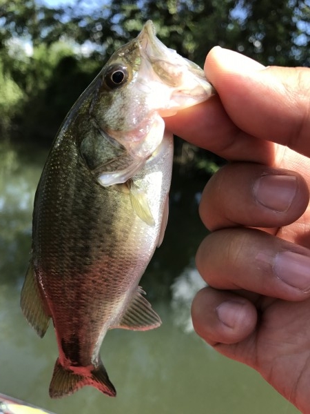 hideup 松本泰明 ブログ写真 2017/08/19