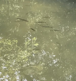 hideup 松本泰明 ブログ写真 2017/08/19