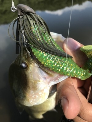 hideup 松本泰明 ブログ写真 2017/10/13