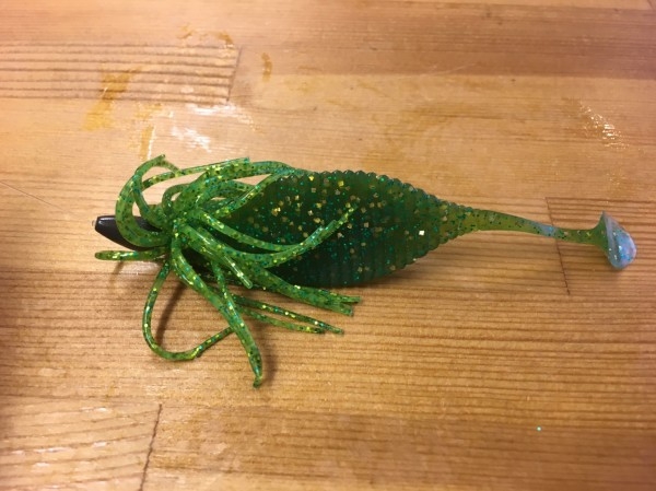 hideup 松本泰明 ブログ写真 2017/05/12