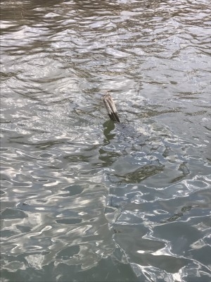 hideup 松本泰明 ブログ写真 2017/03/09