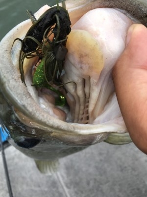 hideup 松本泰明 ブログ写真 2017/07/25