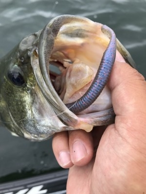 hideup 松本泰明 ブログ写真 2017/07/25