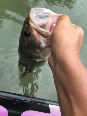 hideup 松本泰明 ブログ写真 2017/08/28