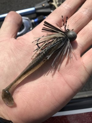 hideup 松本泰明 ブログ写真 2017/03/10